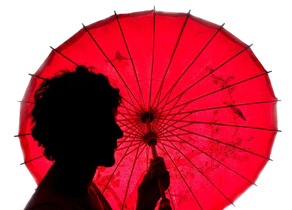 Silhouette Lesson por Bill Gracey